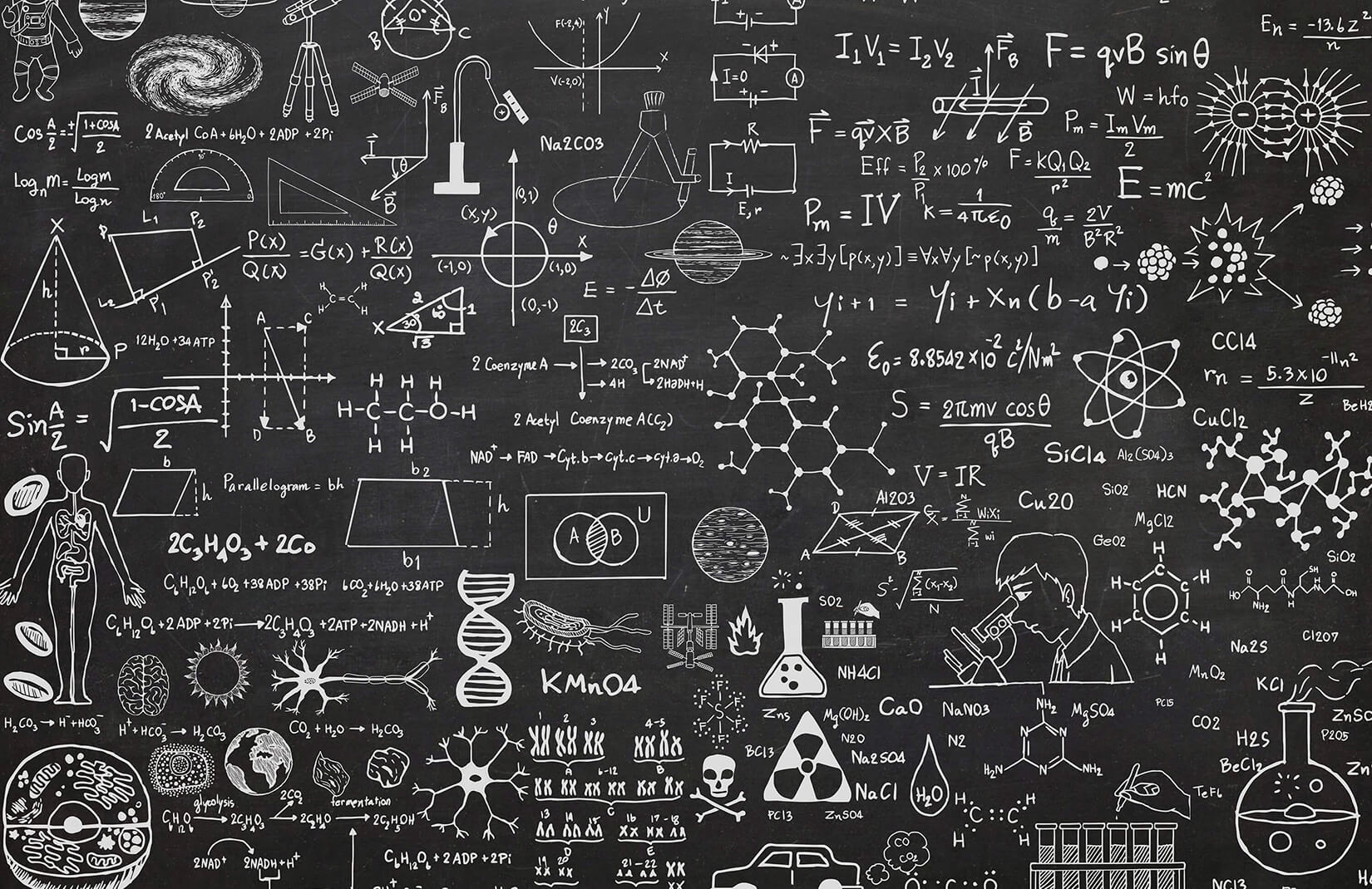 Scientific Insights